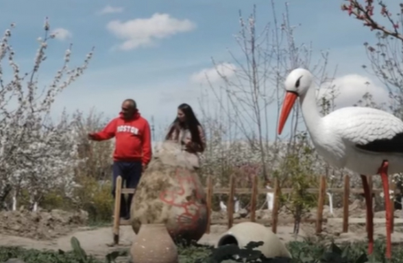 «На этот раз пронесло»: туман спас урожай от заморозков